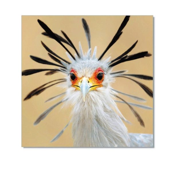 Tableau Messager sagitaire