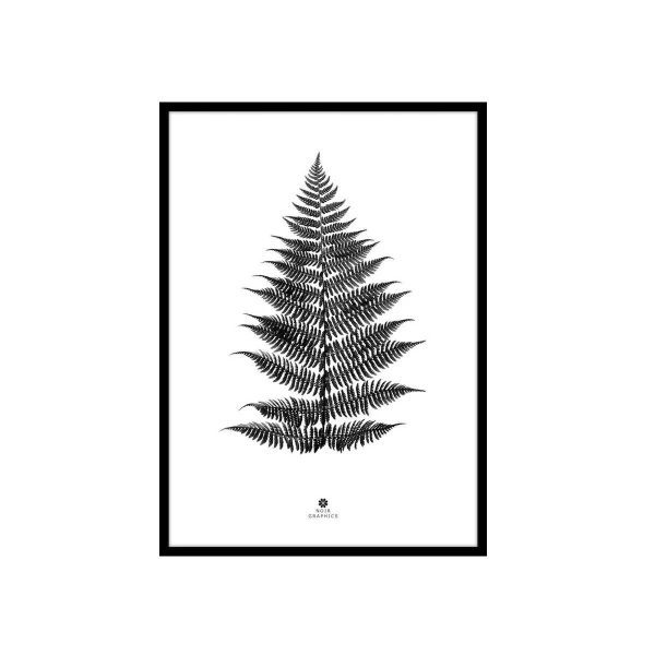 Tableau Petite Fougère